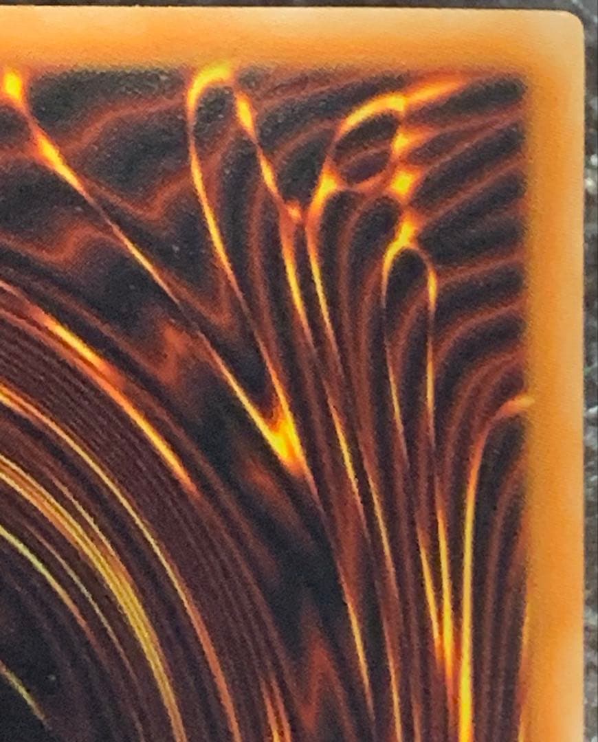 遊戯王　ブラック・ローズ・ドラゴン ホロ