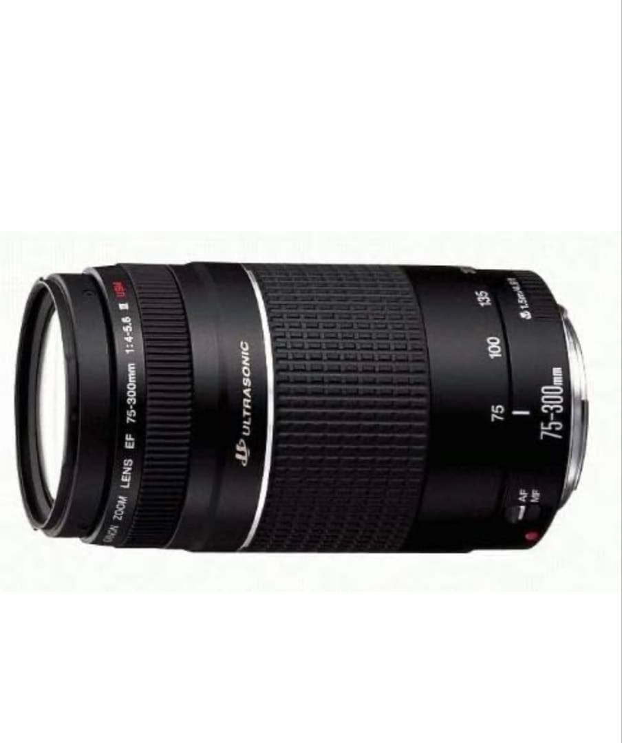 レンズ(ズーム) Canon EF 75-300mm f/4-5.6 III