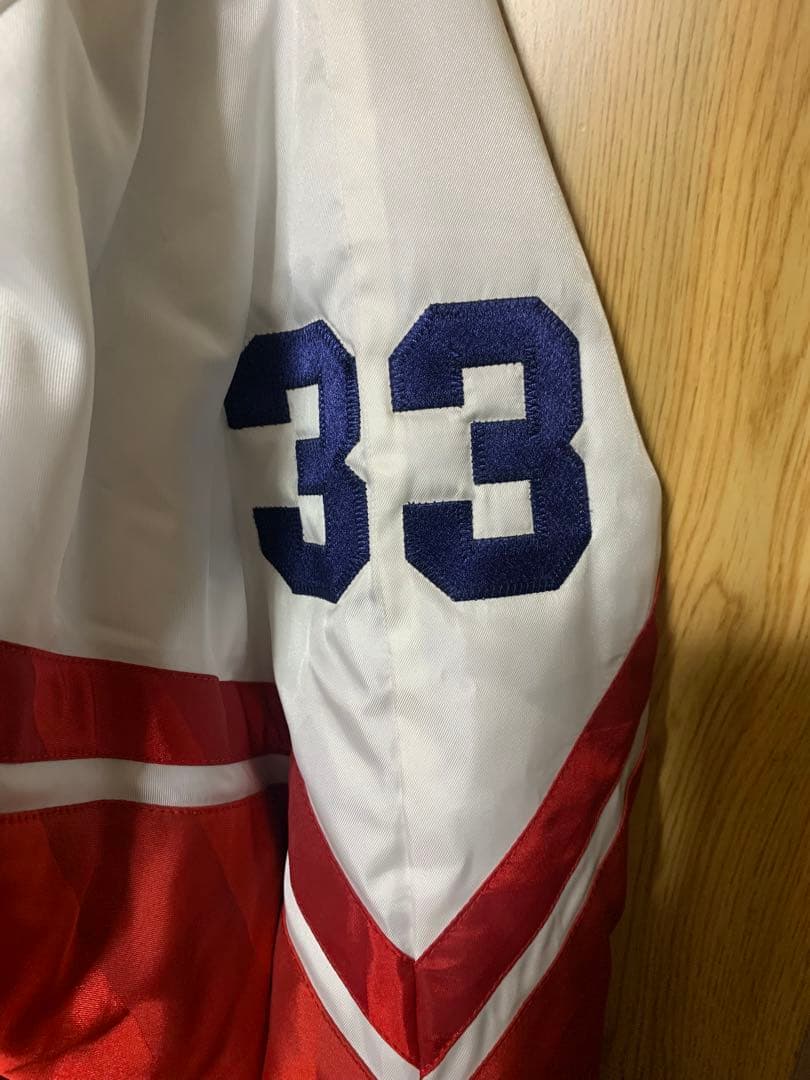 ヤクルトスワローズ　グランドコート