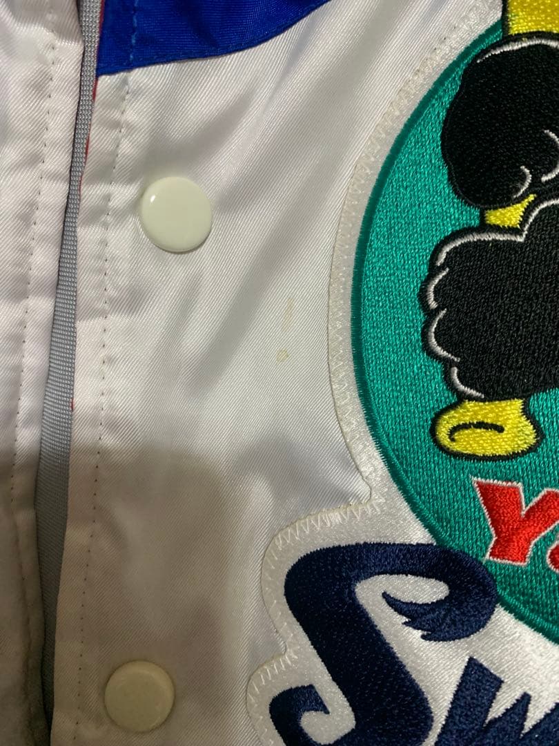 ヤクルトスワローズ　グランドコート