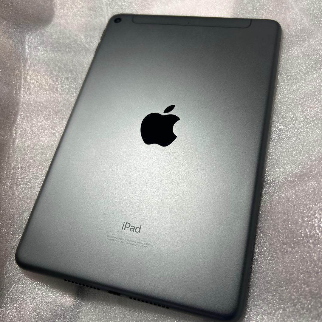 iPadmini 5 Wi-Fi Cellular 64GB バッテリー91%