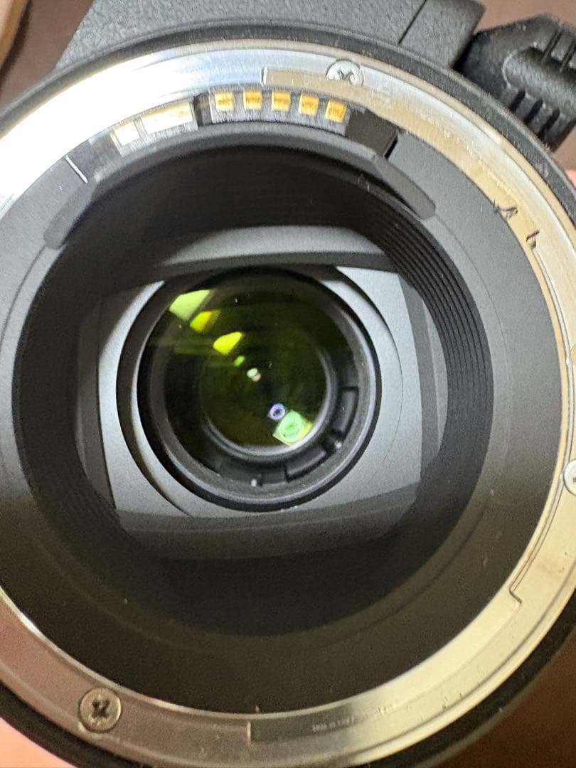 Tamron 150-600mm キャノンefマウント