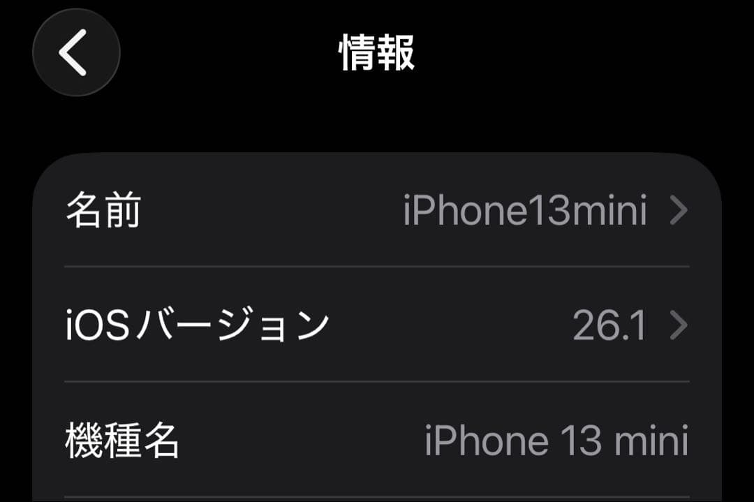 Apple iPhone 13 mini 256GB ホワイト