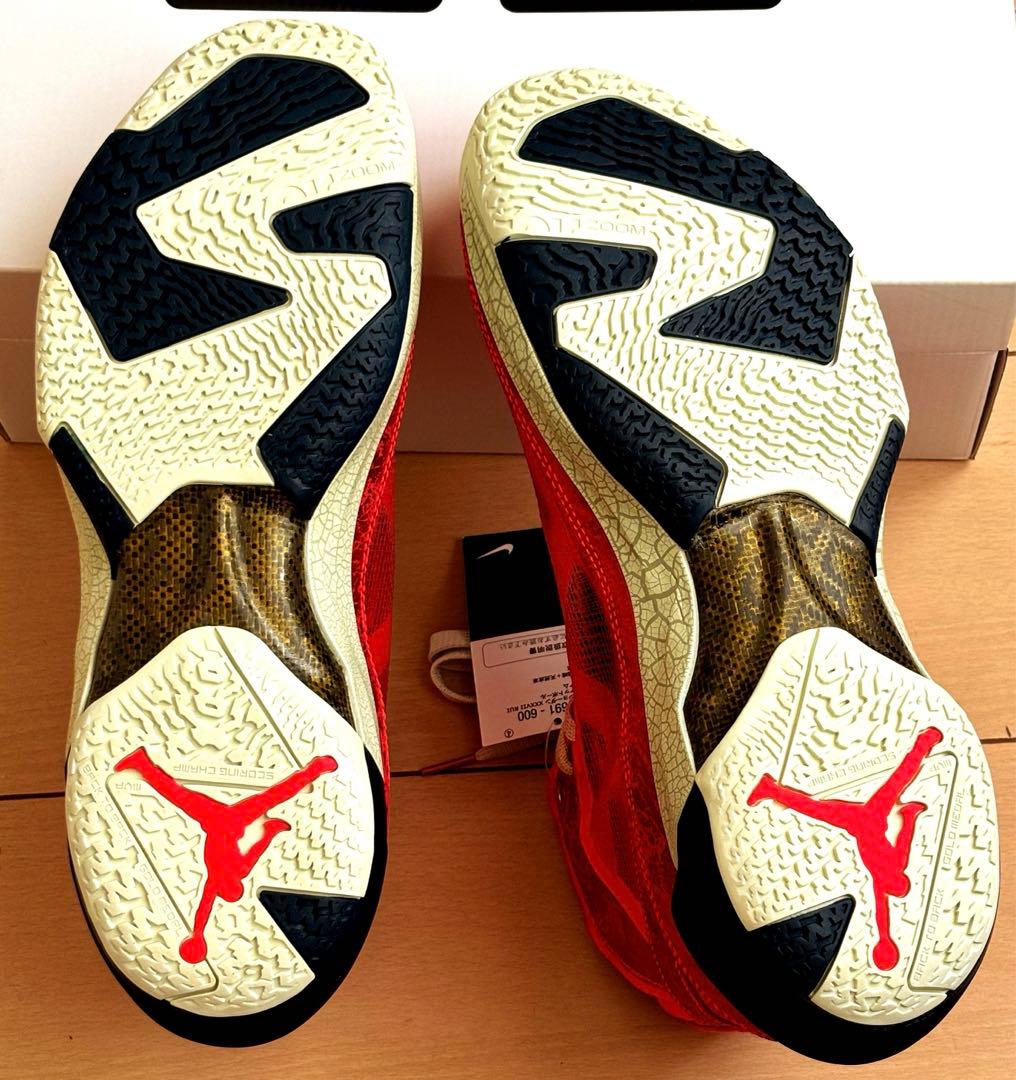 エアジョーダン 37 RUI 29センチ 八村塁バスケットボールNBAレイカーズ