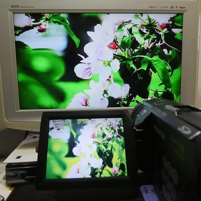 美品・動作良好 パナソニックNV-GS100 MiniDVビデオ DVD化に最適