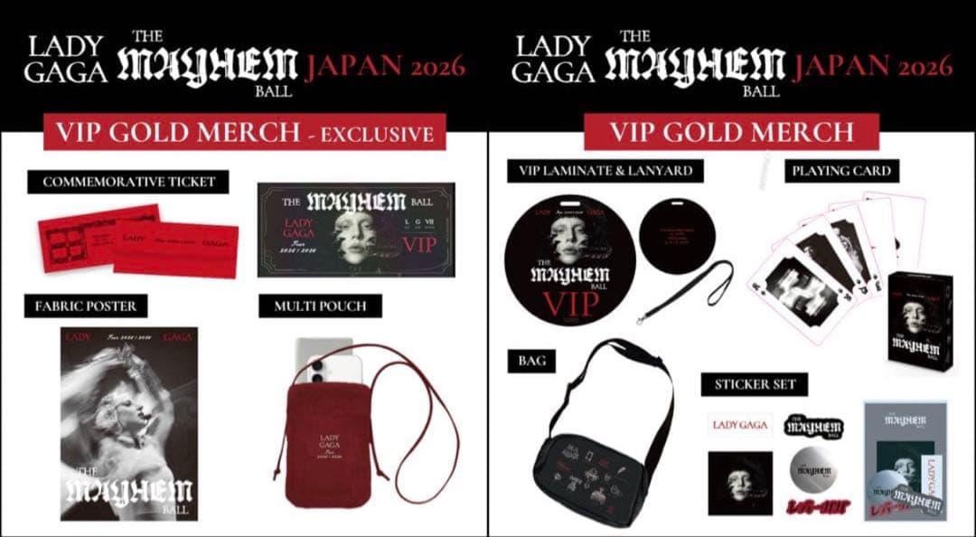 Lady Gaga VIP Gold Merch セット 2026