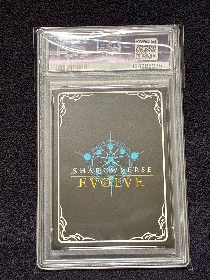 PSA10 ケルベロス 進化後 SP シーサイドメモリーズ シャドウバース