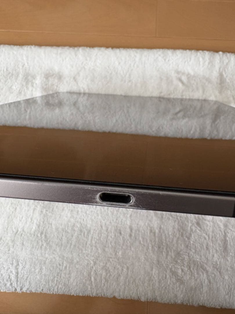 Apple iPad Pro 第3世代 12.9インチ 256GB