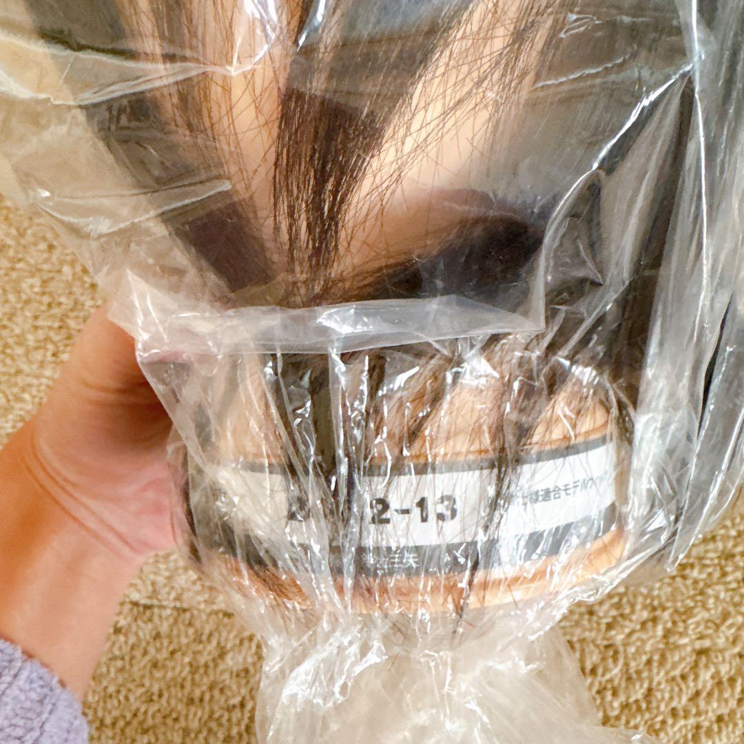 国家試験用 カットウィッグ4個セット