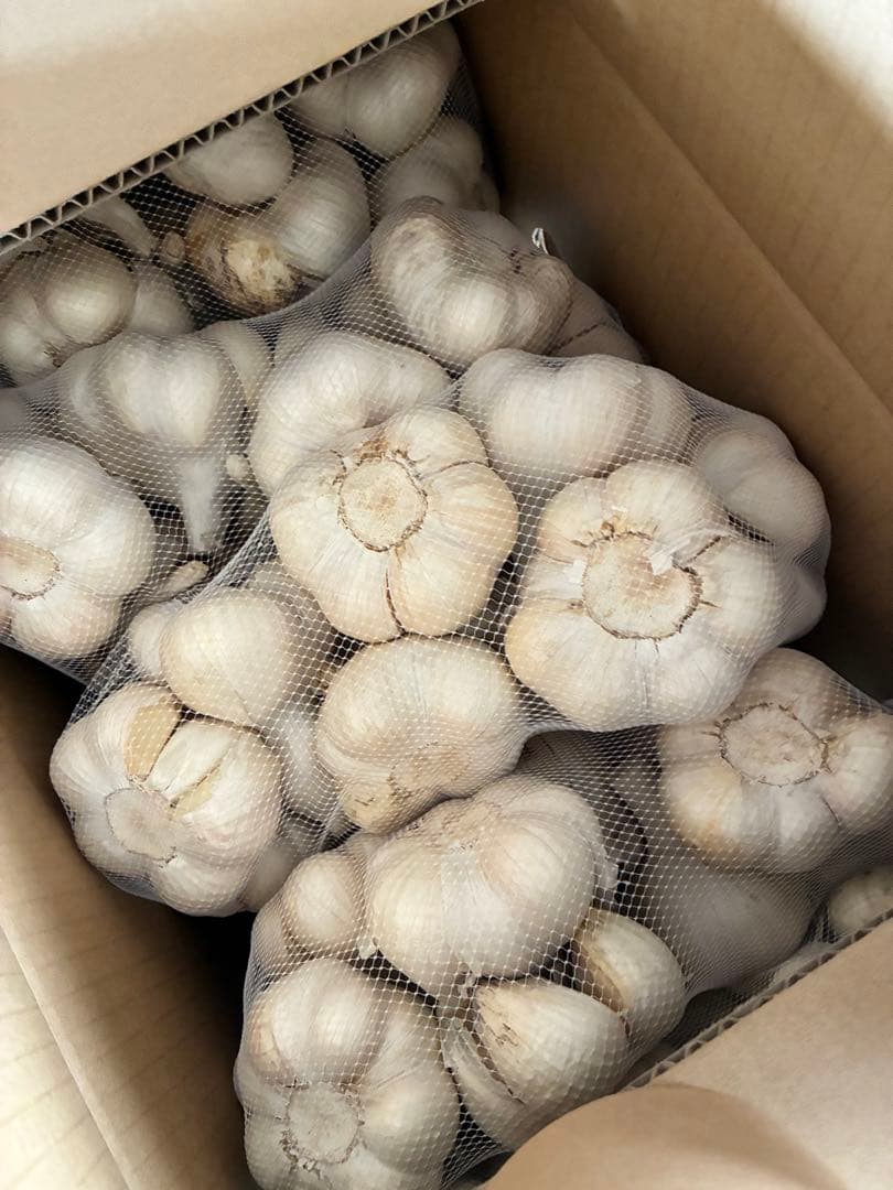 新物　青森県にんにく5Kg 2L 早い者勝ち