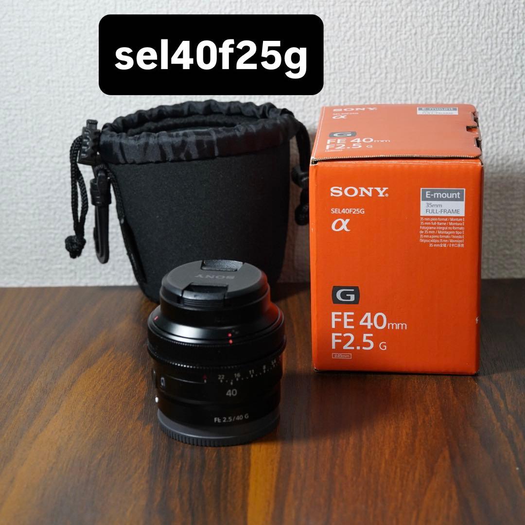 フィルター、ケース 付き sel40f25g 美品