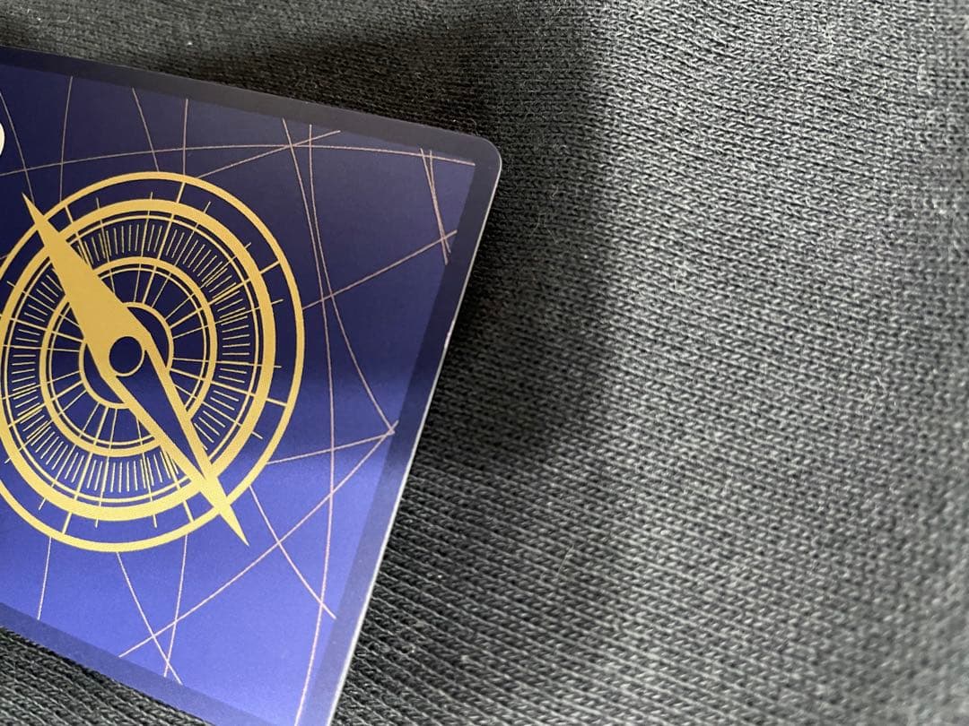 ワンピース ポートガス・D・エース ホロカード マンガ　OP13-119