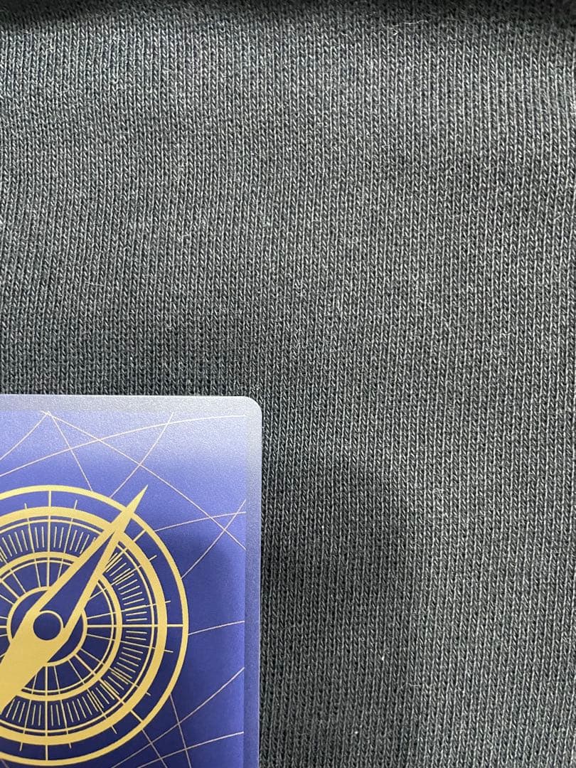 ワンピース ポートガス・D・エース ホロカード マンガ　OP13-119