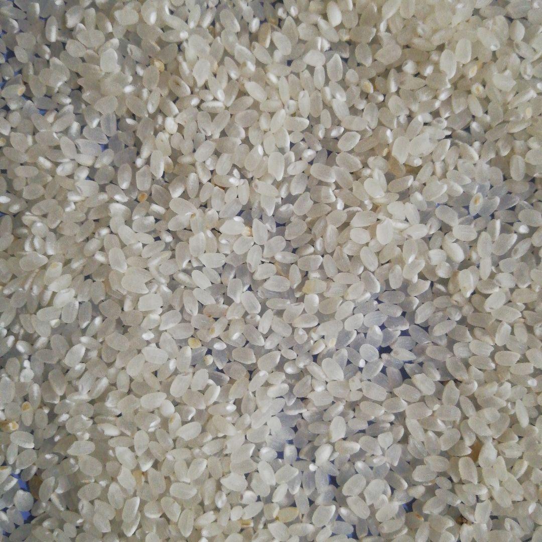 令和６年産白米