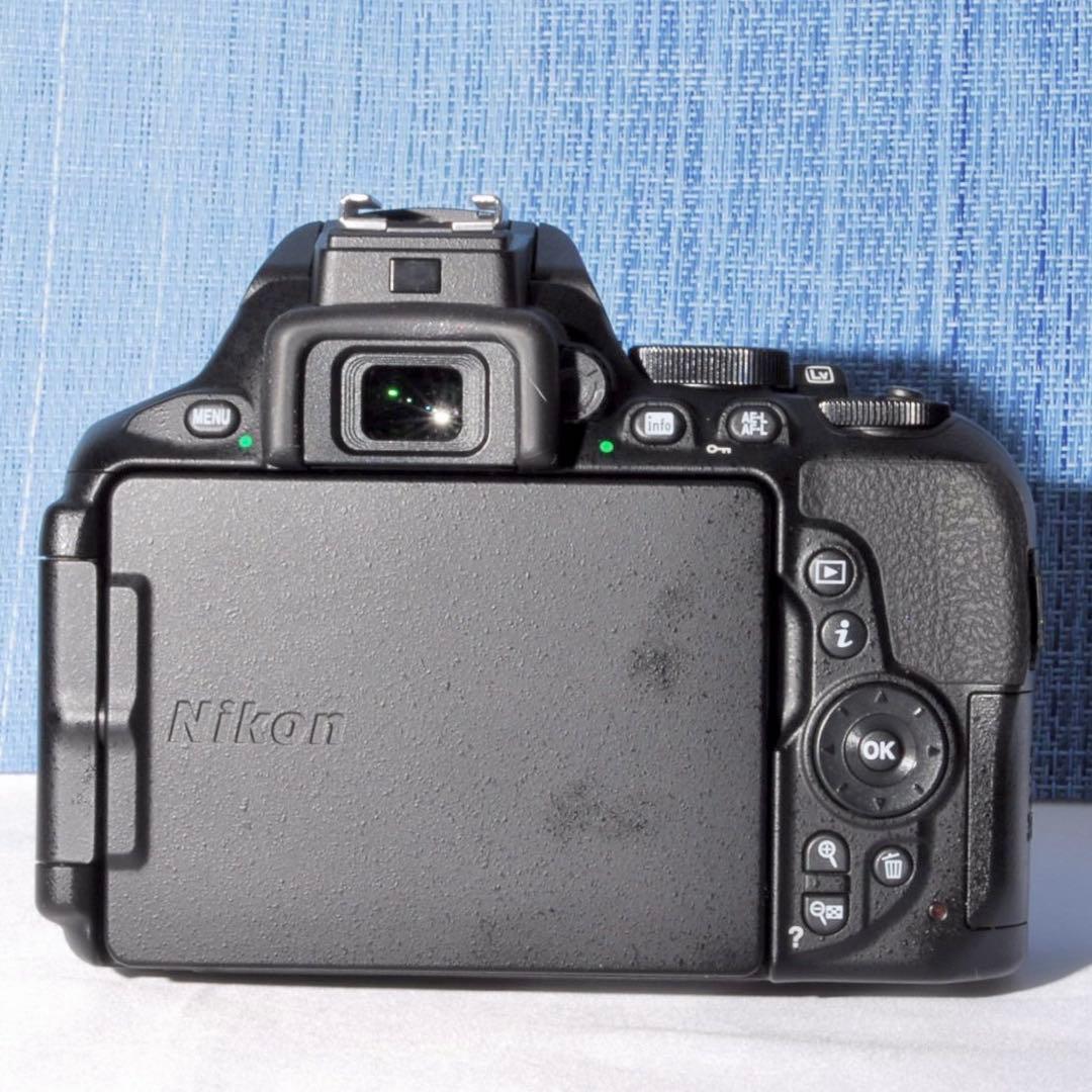 ✨大人気　WiFiモデル✨Nikon D5600　スマホ転送　超高画質✨