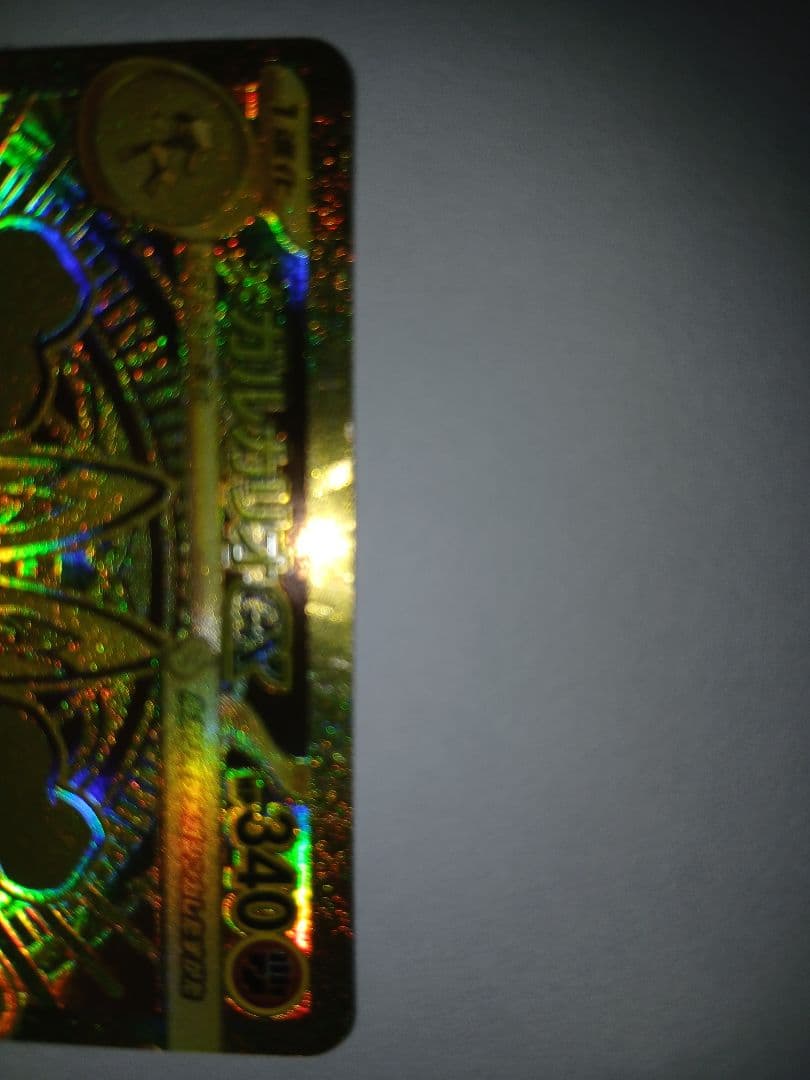 メガルカリオンex mur