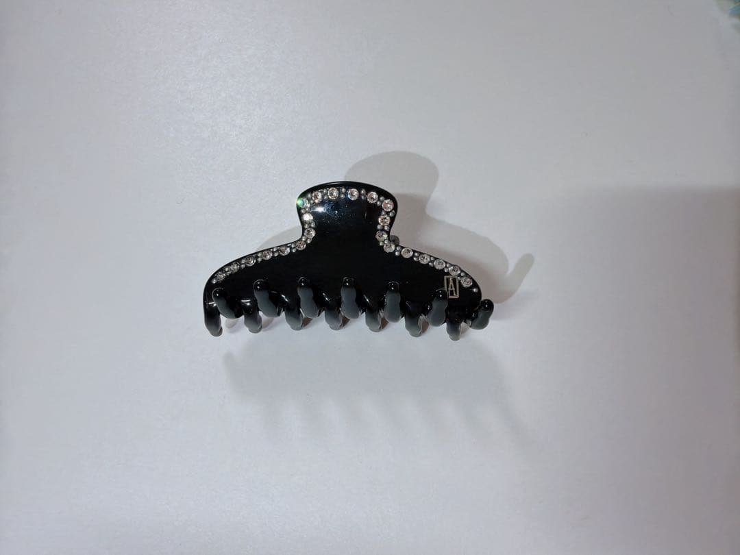 ALEXANDRE DE PARIS クリップ(小)