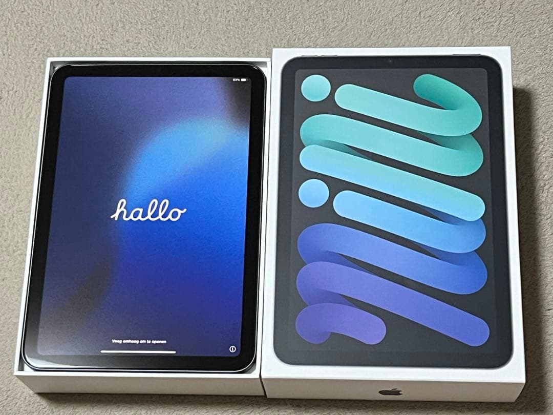 【初期化済み】iPadmini6 256GB Wi-Fiモデル　スペースグレイ