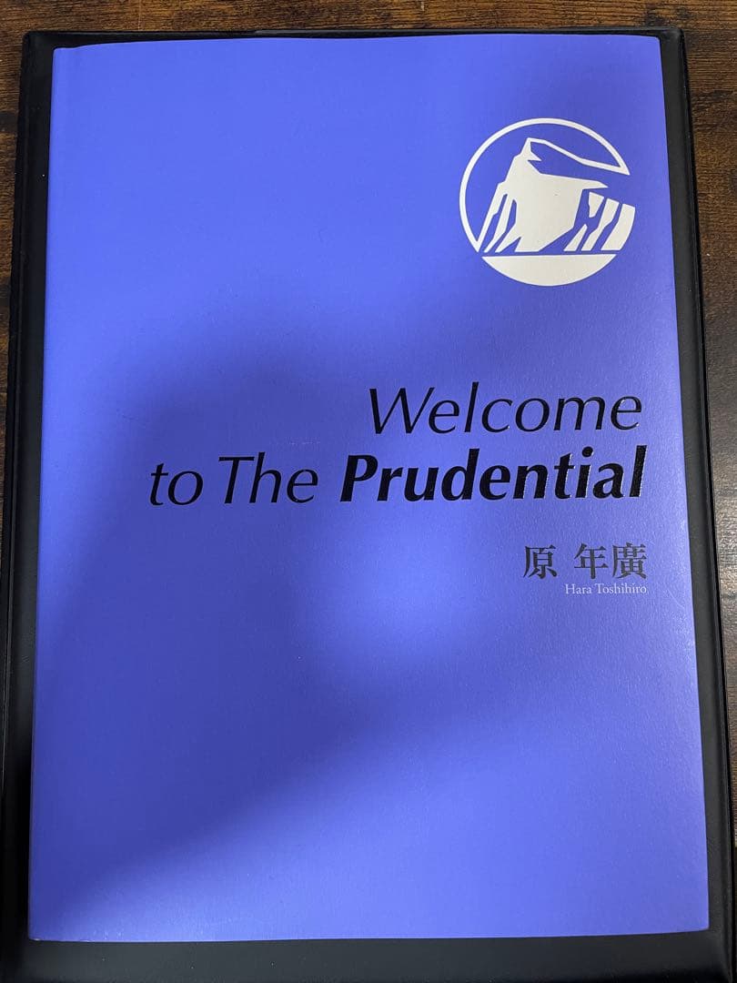 【極美品】welcome to the prudential
