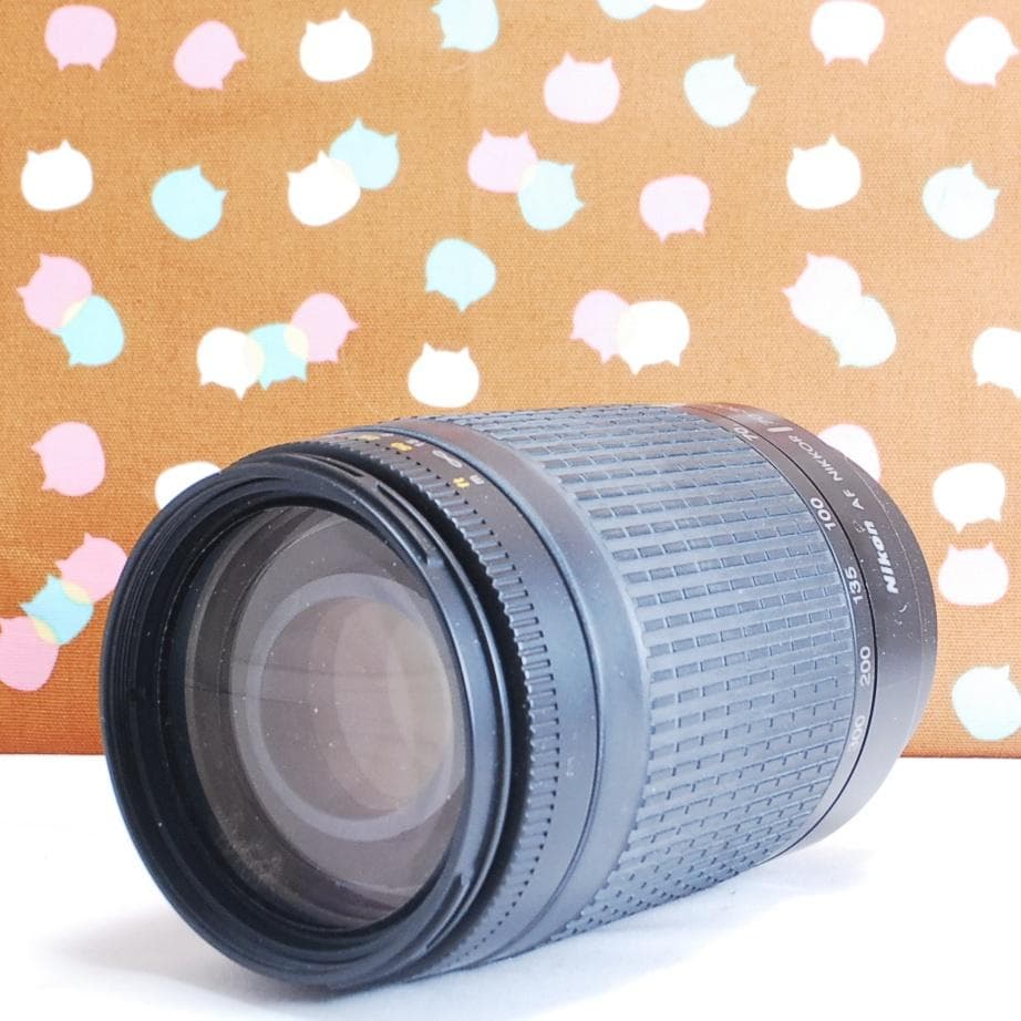 ✨カメラ猫のカメラ相談室✨あなたにあったカメラを紹介します✨CanonNikon