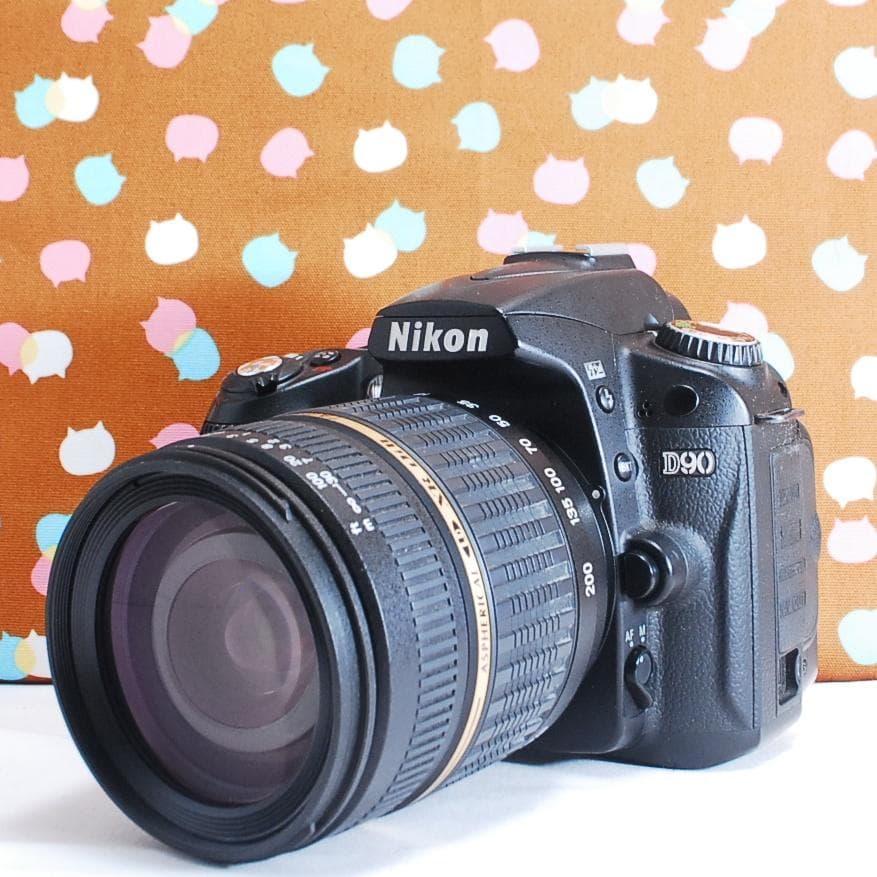 ✨カメラ猫のカメラ相談室✨あなたにあったカメラを紹介します✨CanonNikon