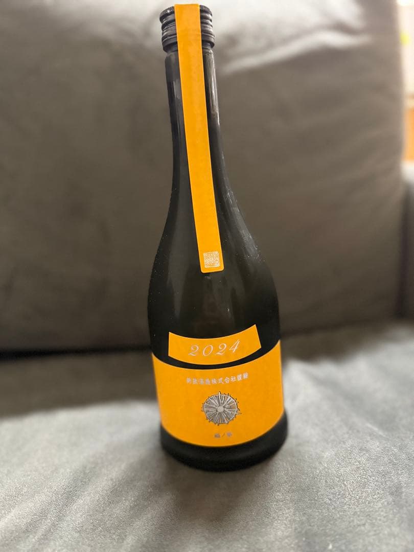 新政 タンジェリン 山吹 2024