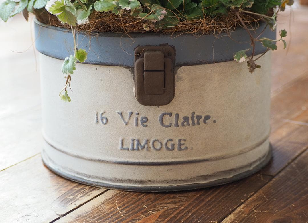 キュートなブリキポットの春色寄せ植え