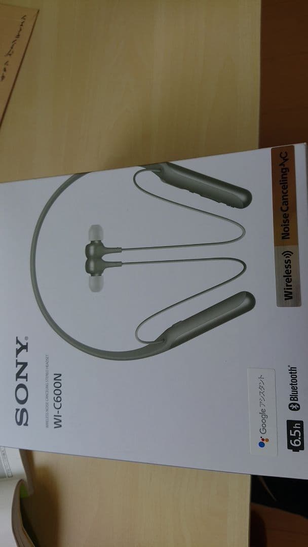 イヤホン Sony Wi-C600N