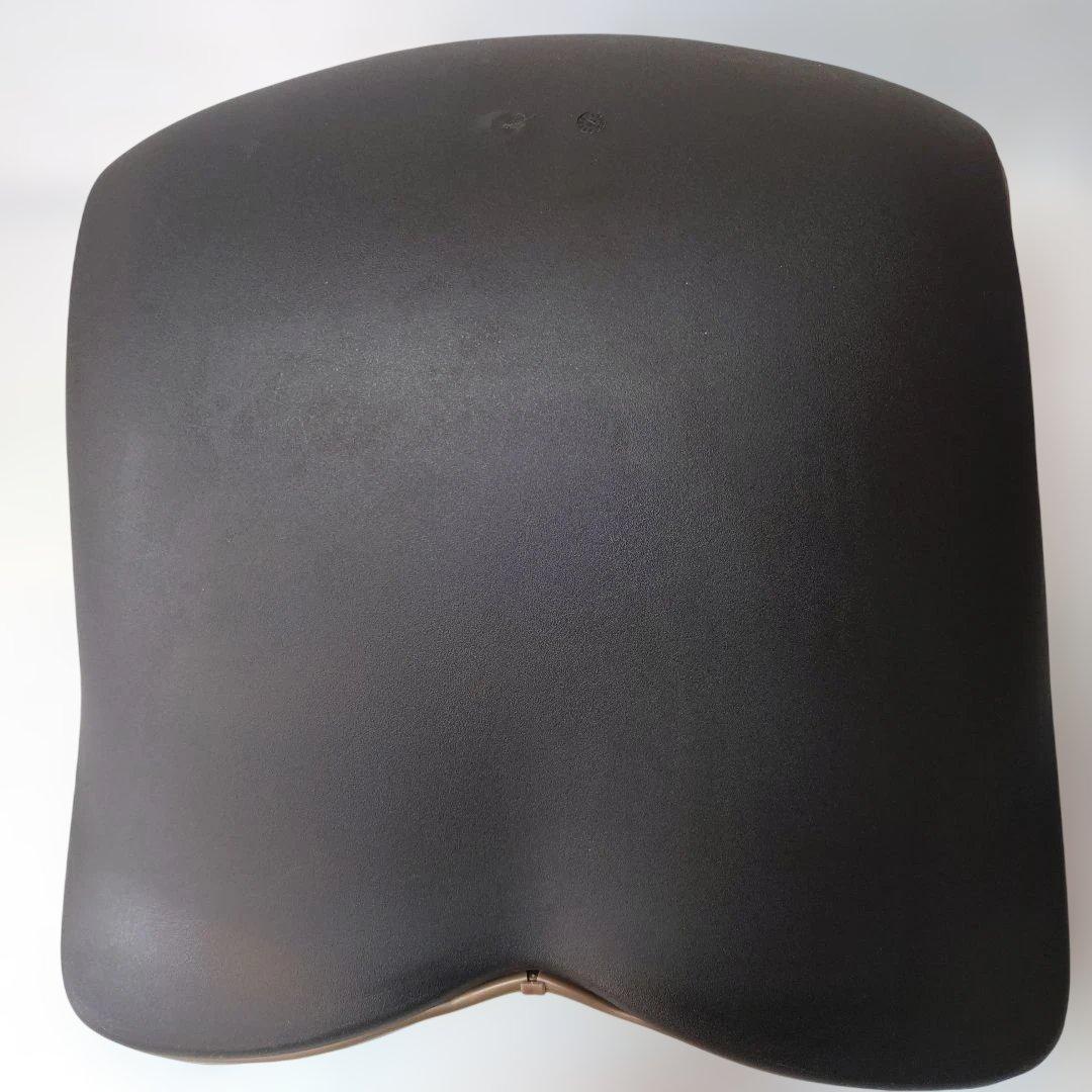 MTG Style PREMIUM ブラック姿勢矯正　ストレッチ 骨盤サポート