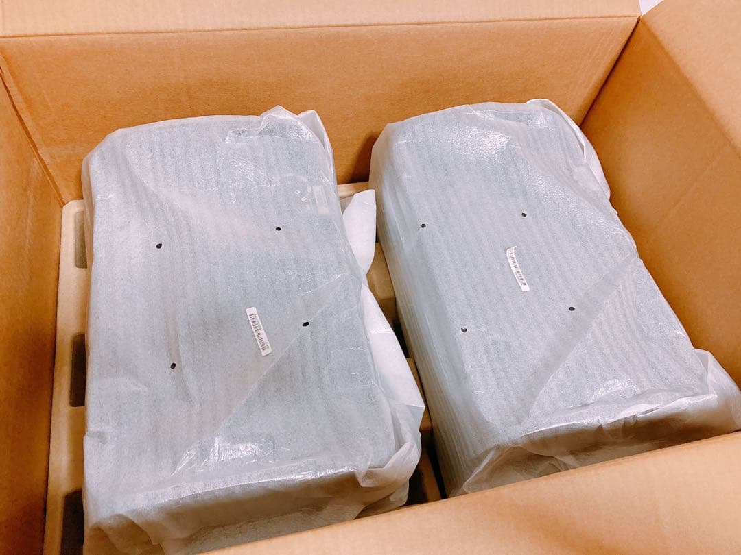 BOSE DesignMax DM6SE PAIR 壁掛けスピーカー