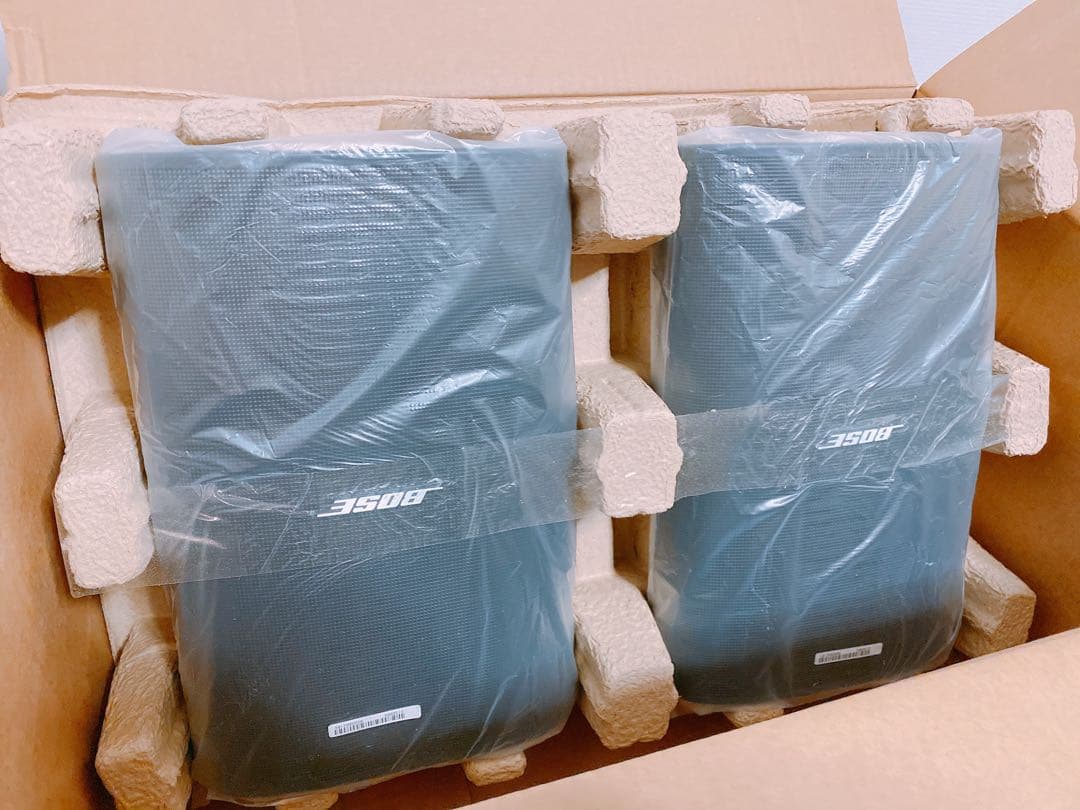 BOSE DesignMax DM6SE PAIR 壁掛けスピーカー