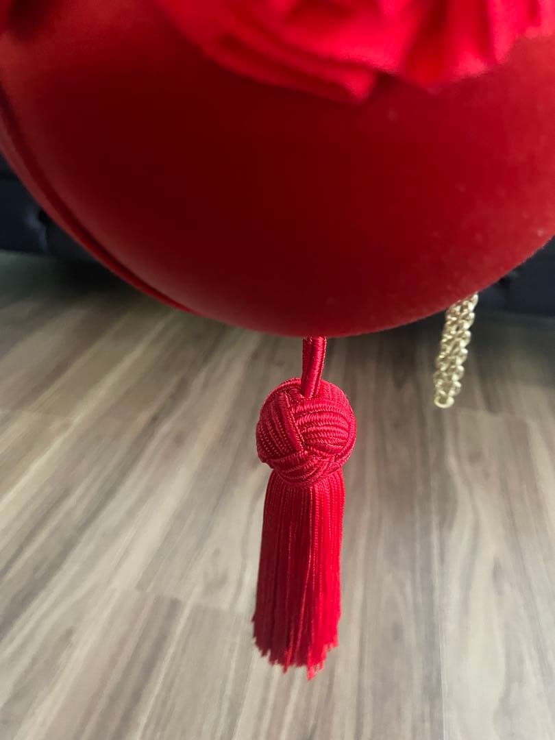 クリスチャンルブタン　パーティーバック