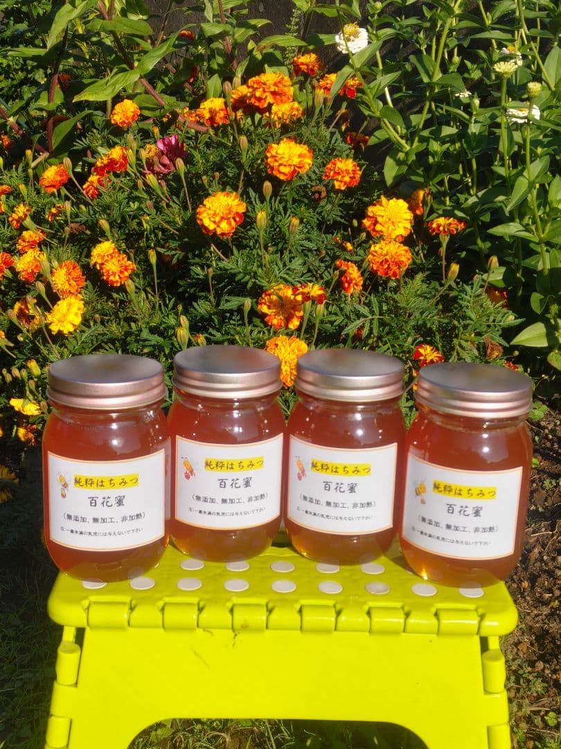 秋新蜜　日本みつばちの百花蜜（１年熟成物）　550ｇ✕4本（2.2kg）