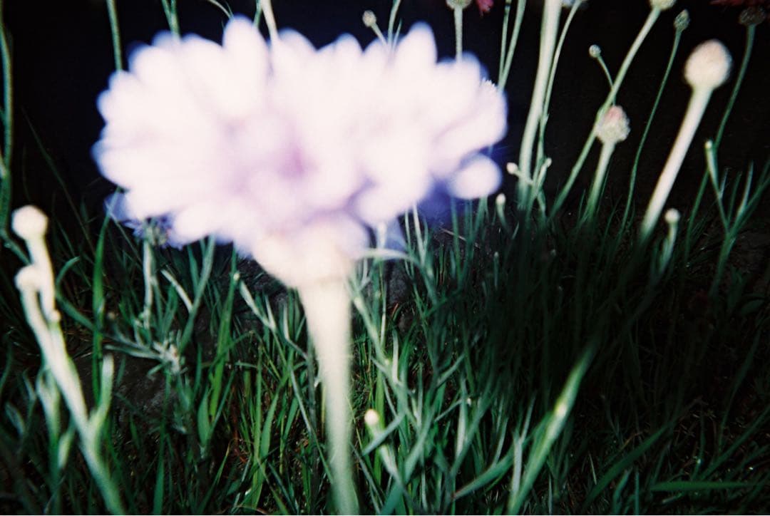 コンパクト フィルムカメラ 6点セット