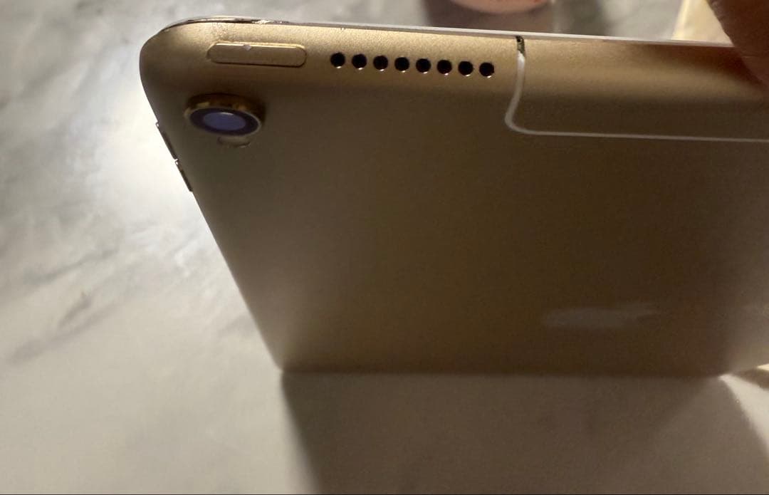 iPadPro 10.5インチ(2017) Wi-Fi+ Cellular 65