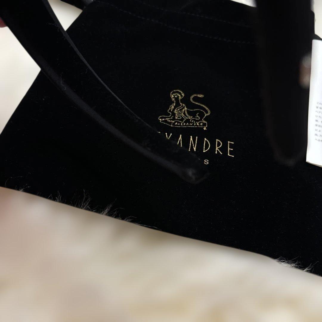 専用⭐︎ALEXANDRE DE PARIS⭐︎カチューシャ