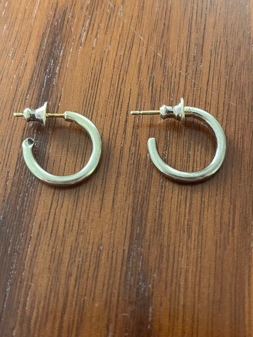 CAREERING PLACEBO 301 (YW) キャリアリング ピアス