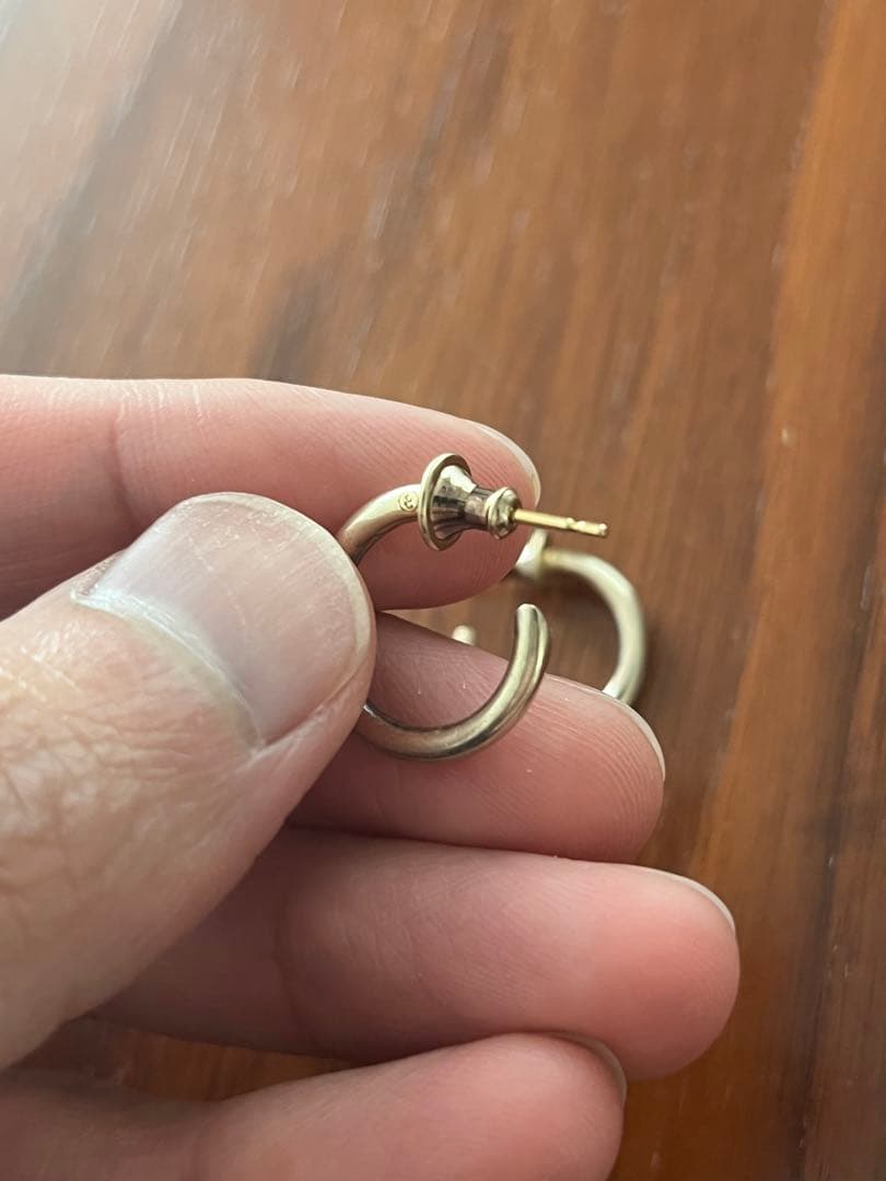 CAREERING PLACEBO 301 (YW) キャリアリング ピアス