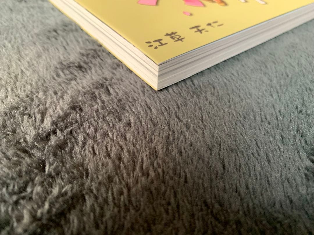 びんちょうタン　学校編1巻　10th 江草天仁 MERCURE めるくり