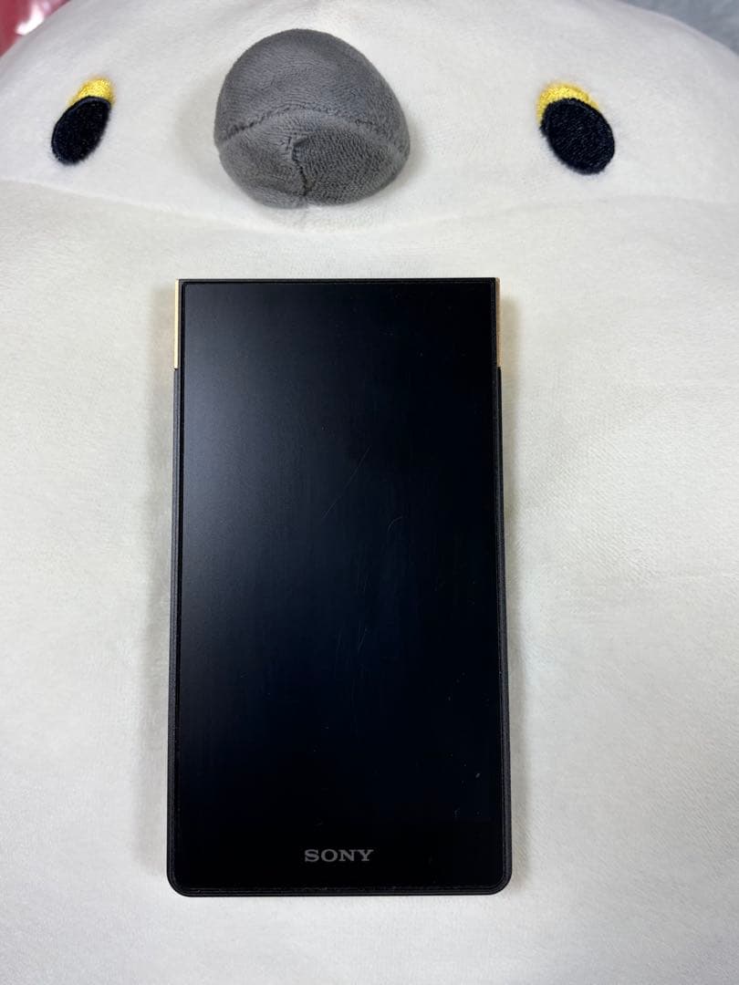 【極美品】 ウォークマン NW-ZX707 64GB