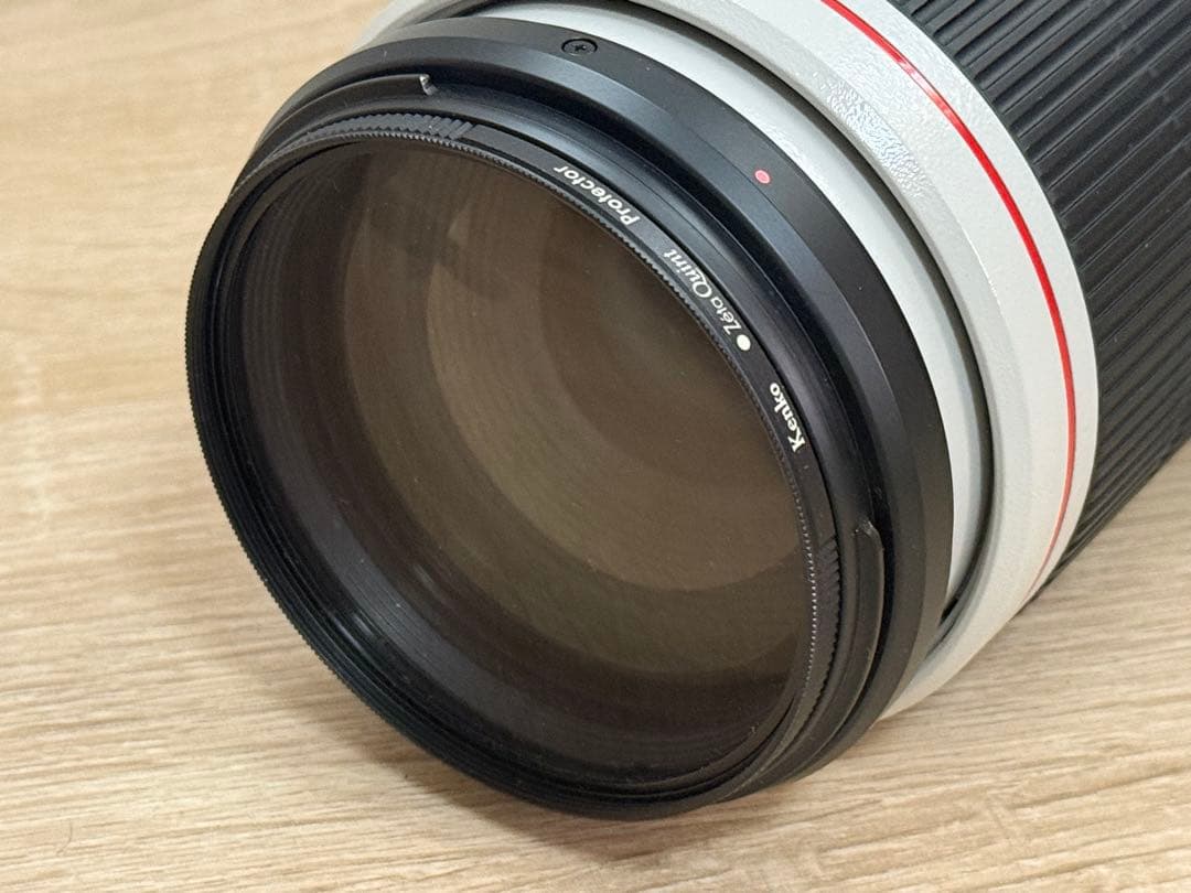 Canon望遠レンズEF100-400mmf4.5-5.6L IS II USM