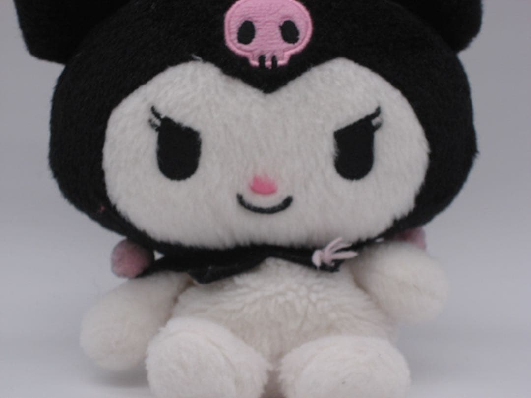 Canon IXY DIGITAL 800IS オールド コンデジ 箱