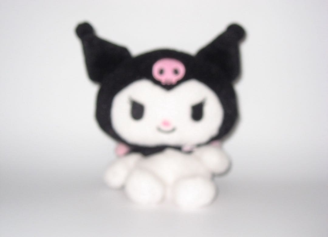 Canon IXY DIGITAL 800IS オールド コンデジ 箱