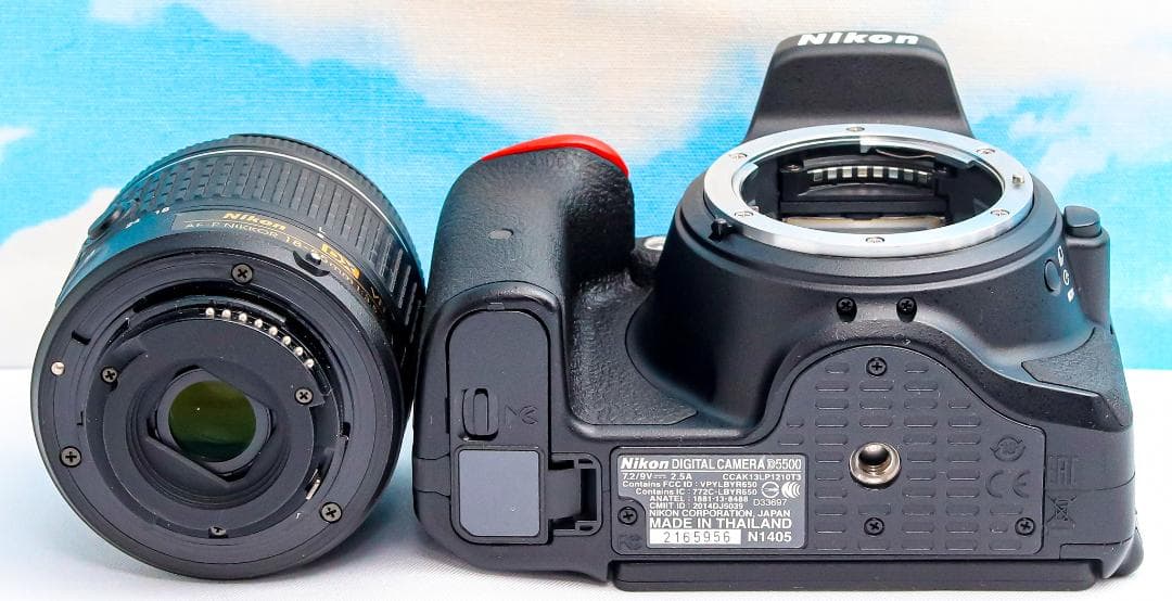 ニコン Nikon D5500 スマホ転送機能付⭐️ 高画質2416万画素⭐️