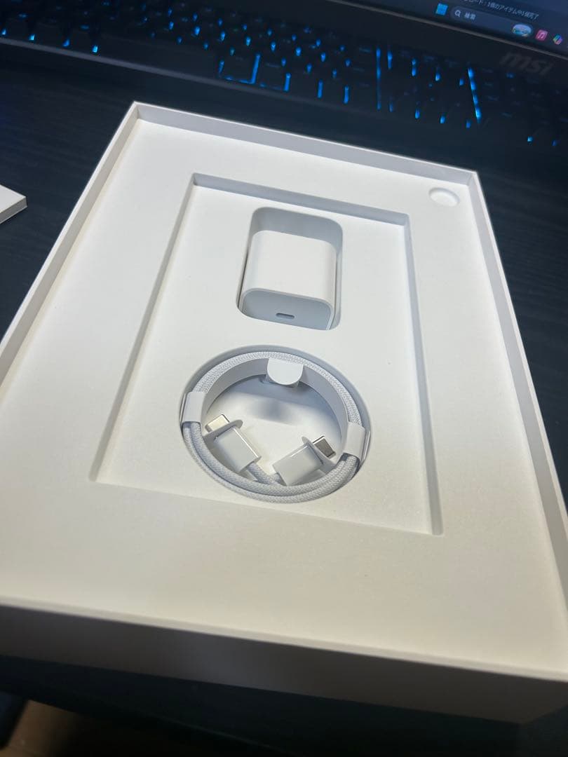 美品 iPad 第10世代 64GB ブルー 100%