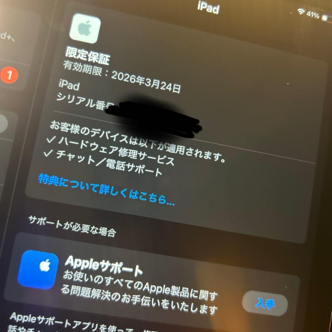 美品 iPad 第10世代 64GB ブルー 100%