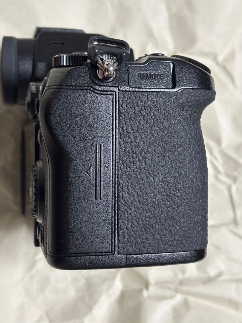 足*臭様 Panasonic LUMIX S5 レンズキット ショット数約150