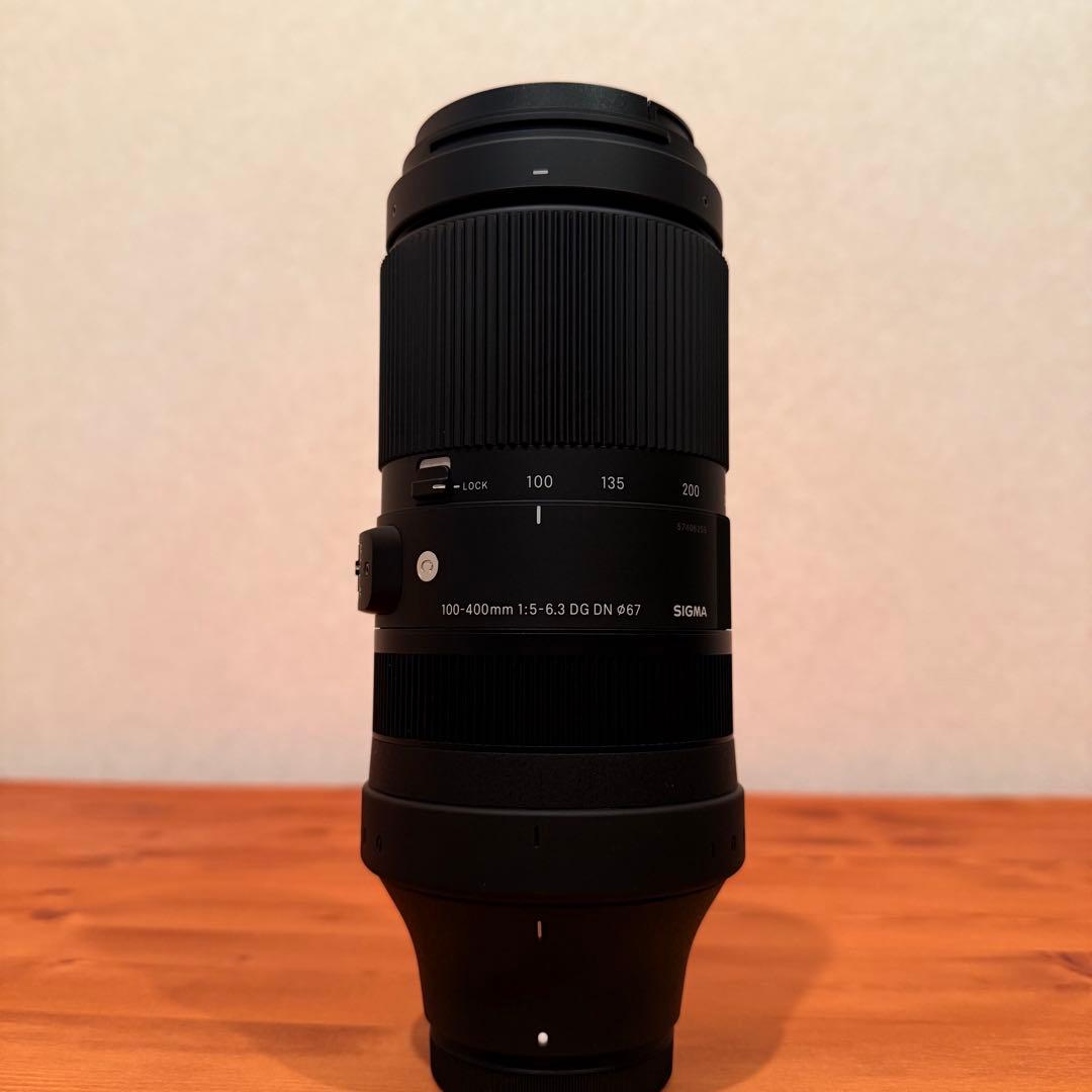 SIGMA 100-400mm F5-6.3 DG DN OS Xマウント