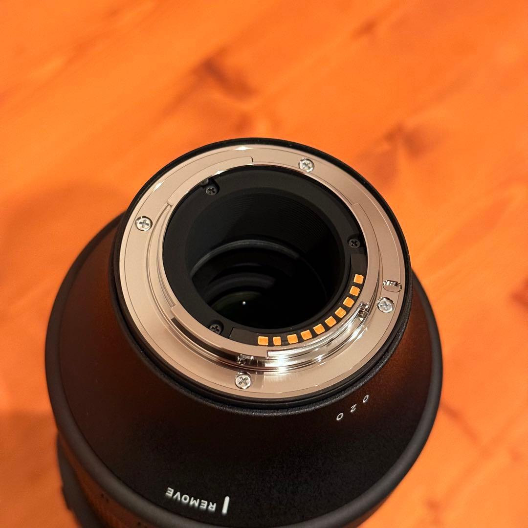 SIGMA 100-400mm F5-6.3 DG DN OS Xマウント