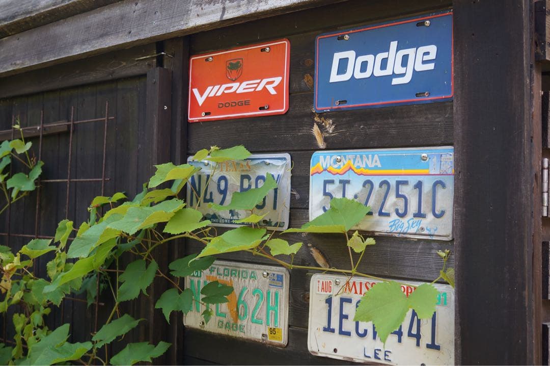 SIGMA 30mm F2.8 EX DN レンズ撮影画像有り